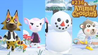 Chasse à l’habitant + une photo ! + Tour de l’île d’Akioshiba Animal Crossing New Horizons 236