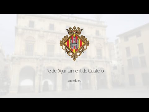 Ple de l'Ajuntament de Castelló - 28 de febrer de 2019