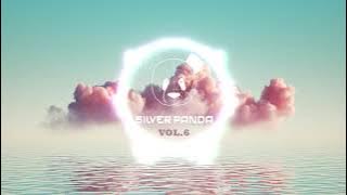Silver Panda Melodic Sessions - Vol. 6