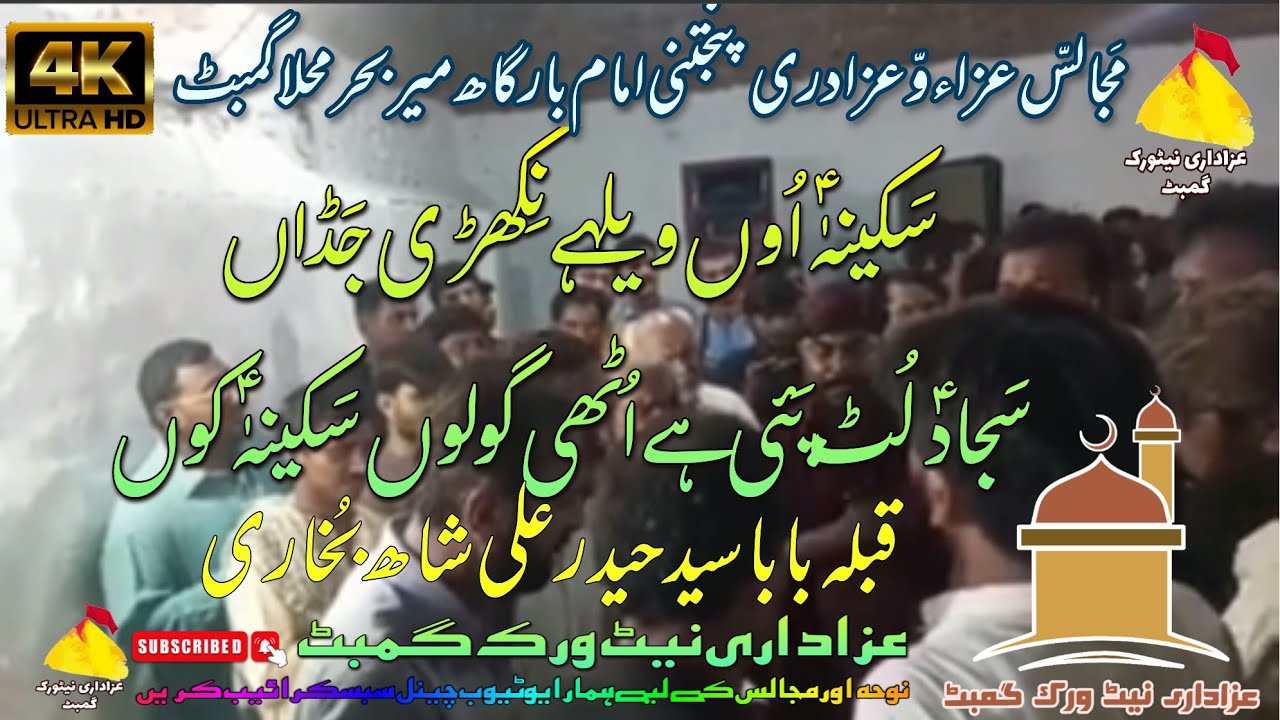 Sakina Unh Weley Nikhri Jadhan || Syed Hyder Ali Shah Bukhari || New HD Noha 2023/1444