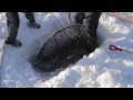 Nome: King Crabbing on Bering Sea Ice