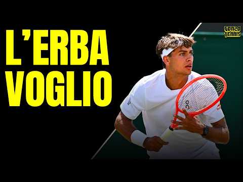Video A Wimbledon COBOLLI e PAOLINI volano, BERRETTINI ko contro un grande Dimitrov