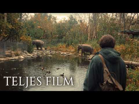 ZOO (Mentsük meg az elefántot) - romantikus, történelmi film. A többi az Ingyenfilmeknél van