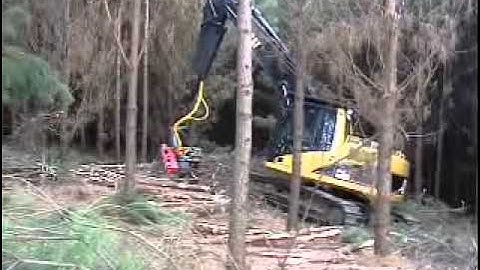 Log Max 5000 on Cat 320C