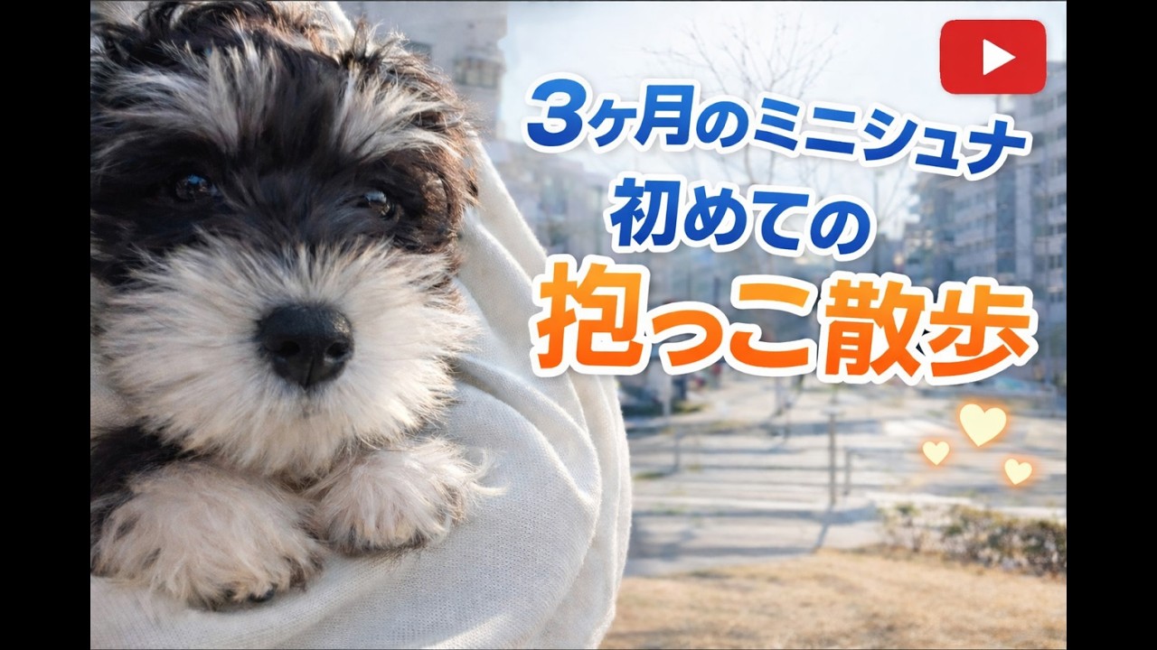 生後３ヶ月、初めての抱っこ散歩
