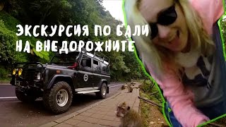 видео ЧТО СМОТРЕТЬ НА БАЛИ? ❀ BaliBlogger