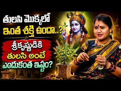Tulasi kota pooja Vidhanam in Telugu |Tulasi kota pooja ela cheyali | Tulasi kota pooja Sravanamasam