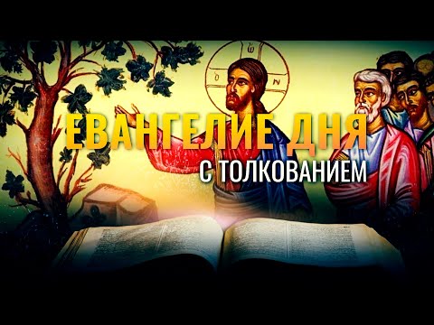 «И ПРИШЁЛ ИСКАТЬ ПЛОДА НА НЕЙ» / ЕВАНГЕЛИЕ ДНЯ