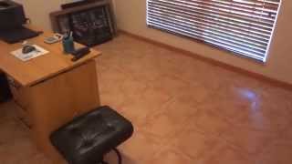 6531 NE 21st Rd, Fort Lauderdale, FL 33308 - Marketed by Roman Pavlik 305-343-3910