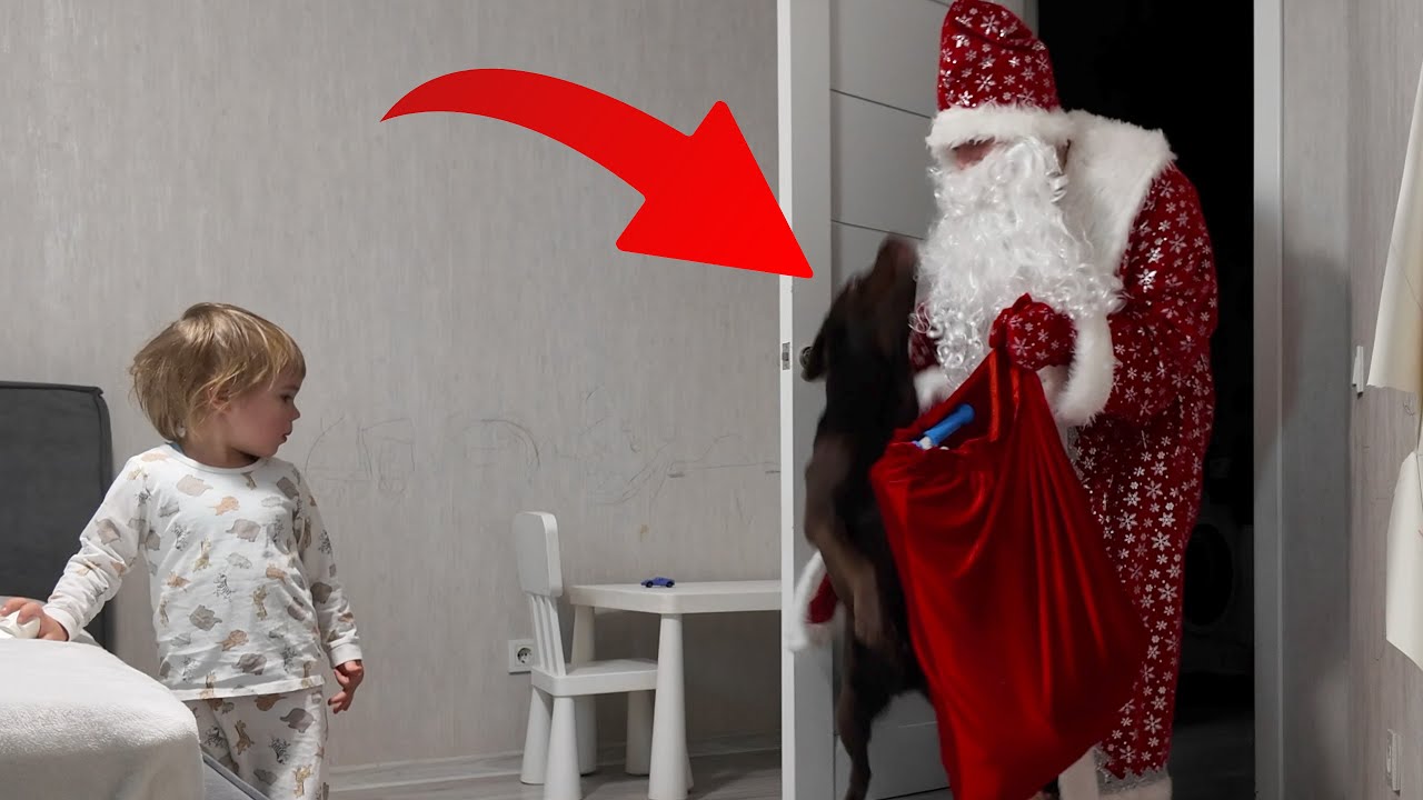 Санта-Клаус впервые удивил маленького мальчика и его собаку.