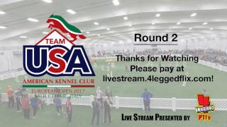 2016 EO Team USA Tryouts - Round 2 (Small Dogs) PART 1