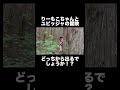 リーモコ&ユビッジャの冒険 #りーもこちゃん #リーモコ #ユビッジャ・ポポポー