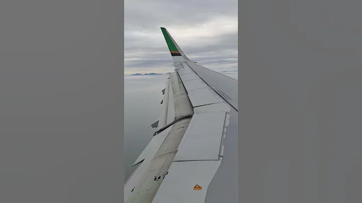 A321降落 襟翼与减速板 - 天天要闻