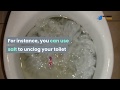 How To Unclog A Toilet Using Salt?