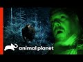 Matt Moneymaker Chases After Potential Bigfoot In Iowa Woods | Finding Bigfoot