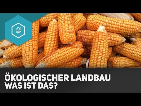 Video: Was versteht man unter ökologischem Landbau?