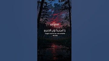 قرآن كل نفس ذائقة الموت #المصحف #راحة_نفسية #قران_كريم #تلاوة_هادئة