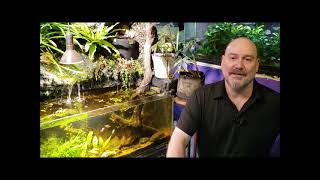 Welcome To Everyday Fishkeeping