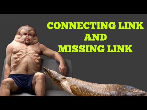 Connecting Link and Missing Link(Easy Way)