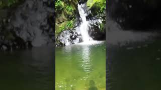 ESTO ENCONTRÉ EN MEDIO DE LA SELVA  #ecuador