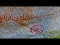 Pictographs Of The Tubatulabal People, Kern County, California