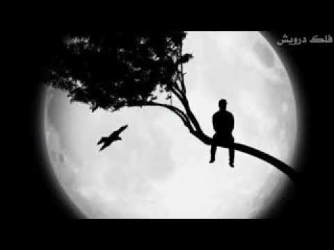 روجا مين بيهيستي كو ته دانه يكيدي