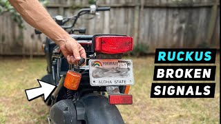 Honda Ruckus / Zoomer 50 - Rear Turn Signal Replacement with LED Flasher | Mitch's Scooter Stuff