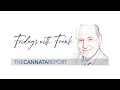 Fridays with frank the cannata reports annual dealer survey