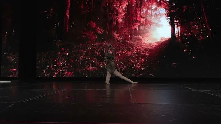 Holman Solo 5th Place Showstoppers 2025