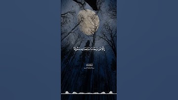 #خالد_الجليل #سورة_يوسف #حلات_واتس #القرآن_الكريم