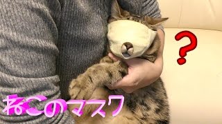 ねこさんのフェイスマスク？？？