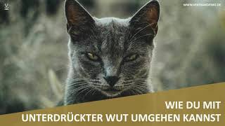 Wie Du mit unterdrückter Wut umgehen kannst // Podcast #103