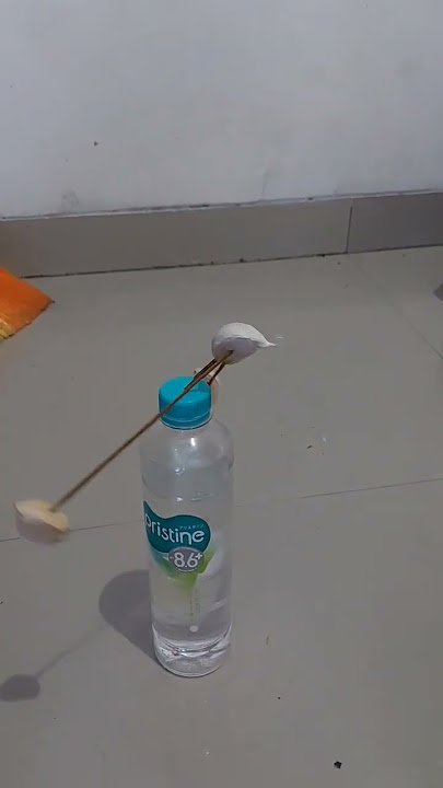 bawang joget | bawang dance viral