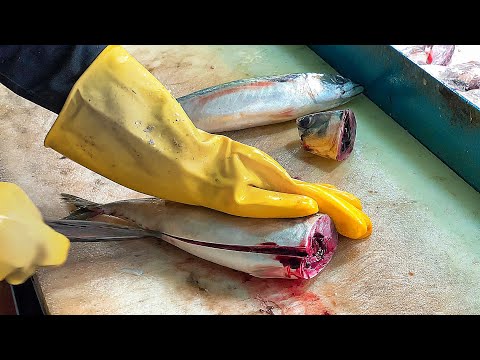 Master of Fish Cutting Skill , How to groom fish - korean street food