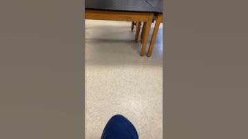 Did I do it at school? #funny #loop #makeup #satisfyingloop #goshort #gettinglate #slather #slowclap