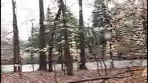 Shellpot Creek at Flood Stage (4)