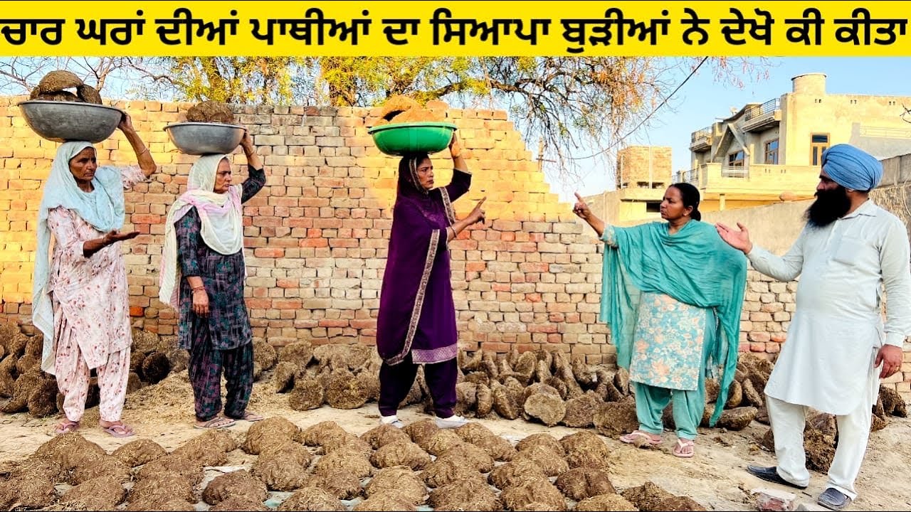 ਚਾਰ ਘਰਾਂ ਦੀਆਂ ਪਾਥੀਆਂ ਦਾ ਸਿਆਪਾ ਬੁੜੀਆਂ ਨੇ ਦੇਖੋ ਕੀ ਕੀਤਾ Pathian da syapa punjabi short video #pathian