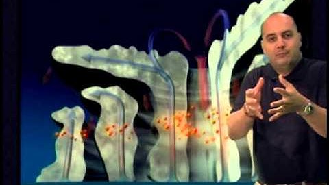 22: The Hurricane Heat Engine
