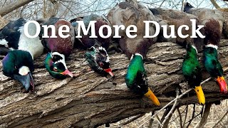 Solo Creek Duck Hunt on the Last Day of the Season | One More Duck | Public Land Duck Hunting