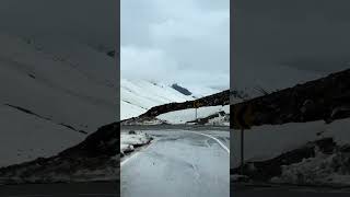 AA dil ha mushkil Shorts  #LifeHacks #Funny #Reels #ViralContent #YTShorts #DailyShorts #ShortVideo