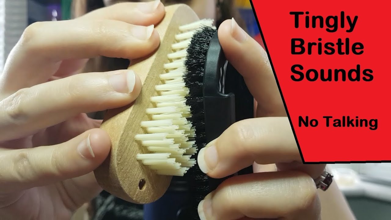 ASMR Tingly Bristle Sounds/Bristle Scratching |Various Stiff Brushes| No Talking, No Mic Scratching