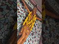 Grace found in the quiet corners of Gowripatnam Church ✨#church #prayers #peace #travelvlog
