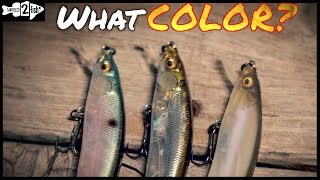 3 Jerkbait Color Selection Guidelines That Produce