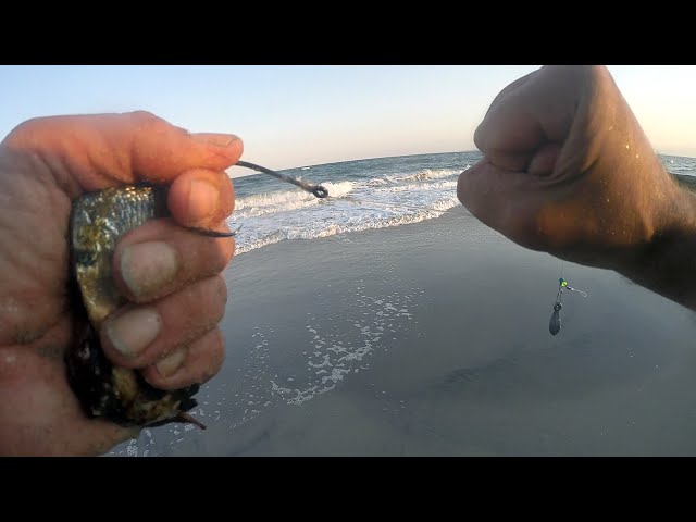 SURF FISHING the BEACH for BLUEFISH with CIRCLE HOOKS and BUNKER CHUNKS 