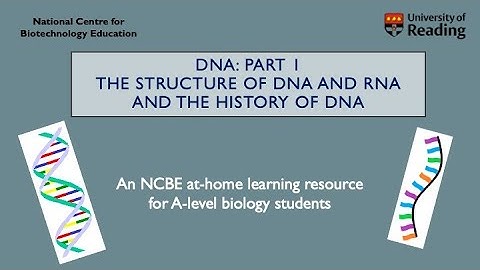 DNA Part 1: The structure of DNA and RNA and the exciting history of DNA.