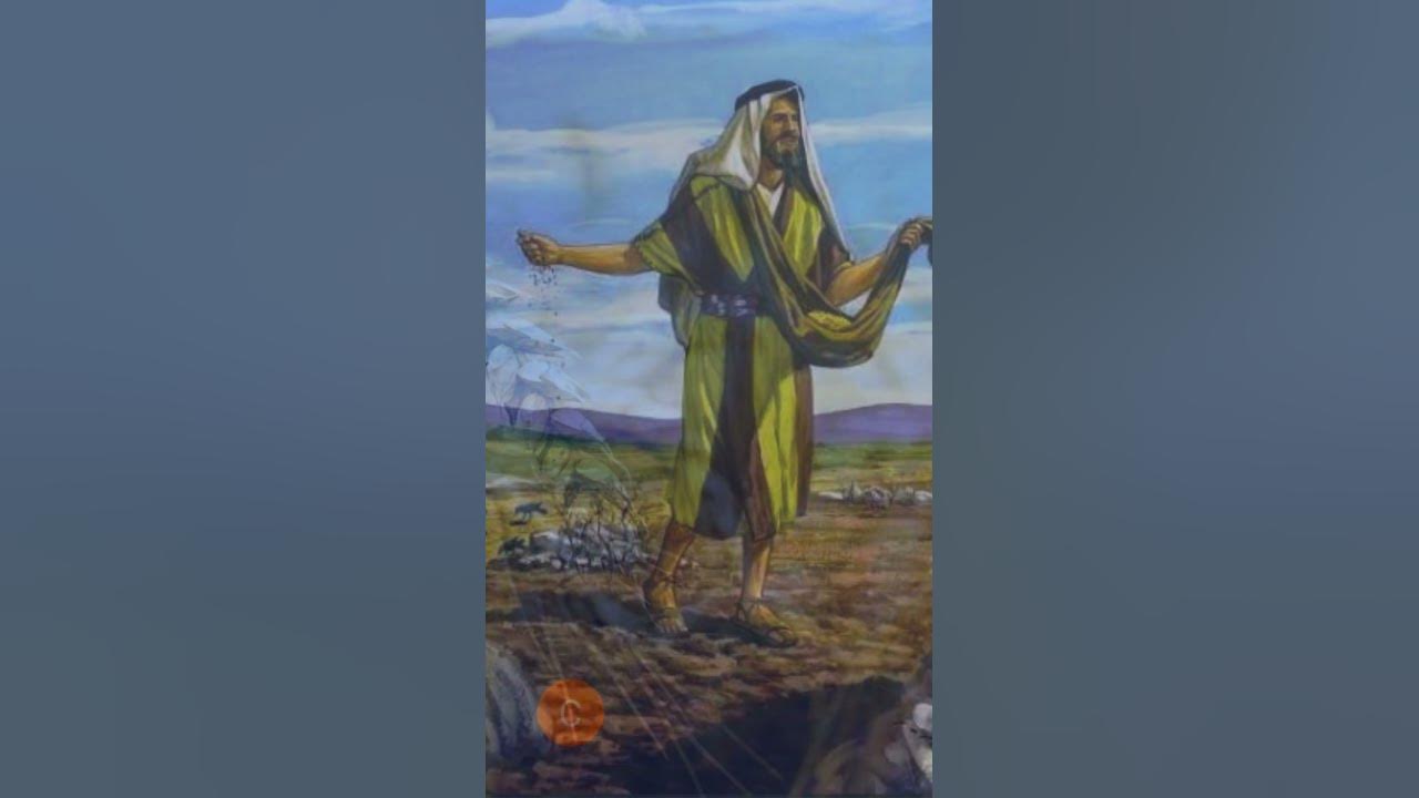 Del evangelio de hoy 24 enero 2024, jesucristo fe orar meditar