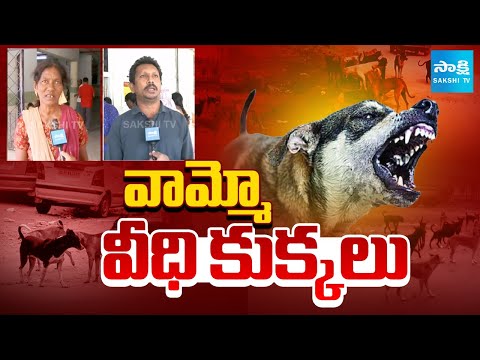 పది రోజుల్లో ముగ్గురు బలి | Sakshi Special Story On Warangal Stray Dogs | Sakshi TV - SAKSHITV