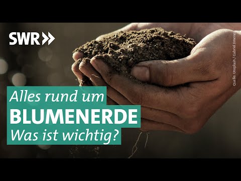 Video: Was ist in Gartenerde: Gartenerde im Vergleich zu anderen Erden