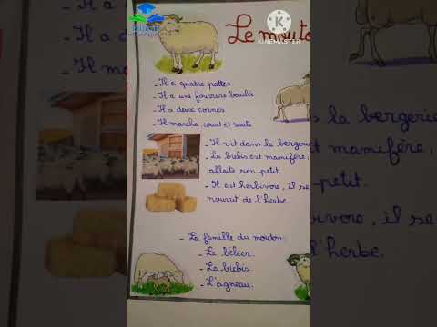 وصف حيوان بالفرنسية 