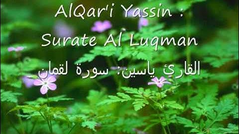 Alqari Yassine Surate Luqman القارئ ياسين سورة لقمان